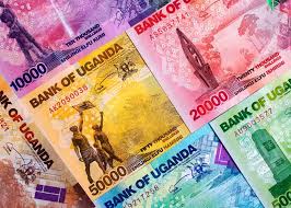 Microcredit Impact Study
